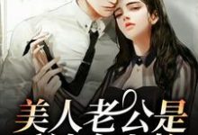 陈荒年许弥的故事在哪本书里？免费阅读美人老公是反社会人格-经典文学