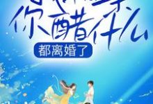 小说《都离婚了，我相亲你醋什么》章节免费阅读-经典文学