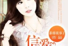信爱不言婚苏岑欢宋仲骁叶峻伊小说在线章节免费阅读-经典文学