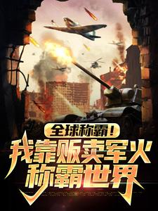 沈飞瑞克为主角的小说好看吗？求全球称霸！我靠贩卖军火称霸世界免费试读