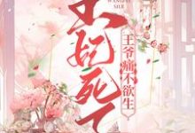 在线寻找王妃死了，王爷痛不欲生小说的无删减版本-经典文学