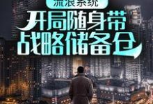 主角叫夏阳李沐雨的小说在哪阅读-经典文学