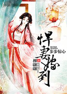 步步惊心：悍妻嫁到沈归雁高御轩在线章节免费阅读