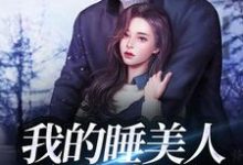 我的睡美人总裁老公小说的无弹窗阅读体验，寻找免费阅读网站-经典文学