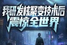 江辰苏辰的小说在哪里看？免费在线阅读我研发核聚变技术后，震惊全世界-经典文学