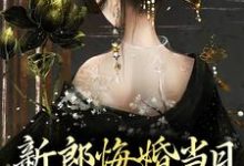 新郎悔婚当日,我闪小说免费资源,新郎悔婚当日,我闪在线阅读-经典文学