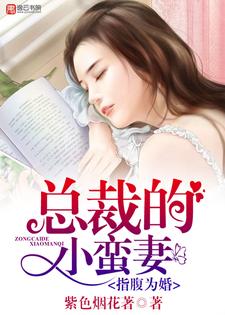 指腹为婚，总裁的小蛮妻乐琦顾铭琛Cheryly顾小凡，指腹为婚，总裁的小蛮妻小说免费阅读