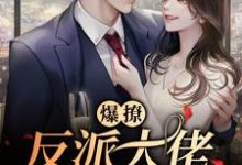 陆峥野林妤笙的完整故事在哪里?读爆撩!反派大佬别太爱小说-经典文学