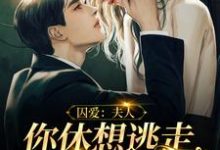 主人公叫叶舟聂修衍的小说哪里免费看-经典文学