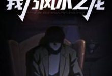 拜师老乞丐：我乃风水之龙小说最新更新在哪里？免费在线看-经典文学