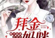 唐卿茹顾北琛为主角的小说叫什么?免费看拜金妈咪:顾少追妻百分百-经典文学