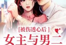 小说《被伤透心后，女主与男二在一起了》章节免费阅读-经典文学