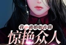 免费在线阅读我，离婚如丧偶，惊艳众人过新人生小说的正规网站有哪些？-经典文学