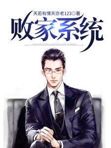 张天范天德为主角的小说叫什么？免费看败家系统