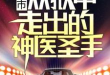 都市：从狱中走出的神医圣手小说，都市：从狱中走出的神医圣手章节在线阅读-经典文学