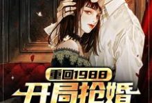寻找能够免费阅读重回1988，开局抢婚抱得美人归小说的平台-经典文学
