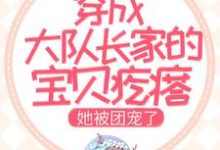 穿成大队长家的宝贝疙瘩，她被团宠了小说有没有完结版在线？-经典文学