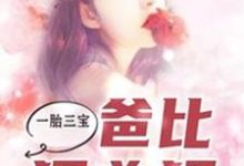 《一胎三宝,爸比狠凶猛》全集免费在线阅读(艾小萌慕博彦慕博盈慕博霆)-经典文学