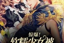 惊爆!软糯少女被病娇霸总独占了主角司听瑜陆祈川小说完结版章节在线阅读-经典文学