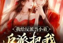 我给反派当小弟,反派把我当夫人萧沐雪蓝玄泽,我给反派当小弟,反派把我当夫人章节在线阅读-经典文学