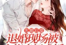 小说《先婚后爱:退婚现场被大佬当场求婚》章节免费阅读-经典文学