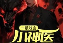 一纸戏言，小神医下山成婚免费阅读，一纸戏言，小神医下山成婚章节目录-经典文学