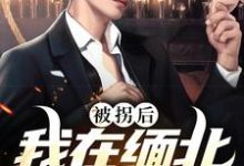 阮清禾的完整故事在哪里?读被拐后,我在缅北杀疯了小说-经典文学