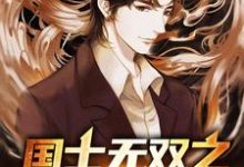 国士无双之强者归来小说，国士无双之强者归来免费阅读-经典文学