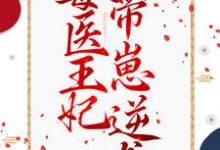 毒医王妃带崽逆袭这本小说怎么样?免费在线阅读试试-经典文学