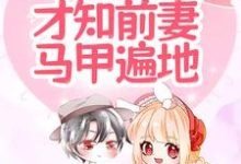 唐星挽傅寒深小说在哪里可以看-经典文学