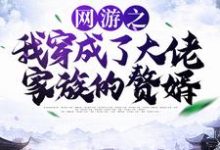 林度宁风雅为主角的小说好看吗?求网游之我穿成了大佬家族的赘婿免费试读-经典文学