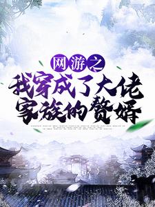 林度宁风雅为主角的小说好看吗？求网游之我穿成了大佬家族的赘婿免费试读