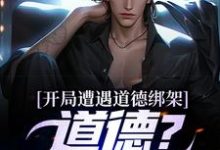 免费看开局遭遇道德绑架，道德？我没有！小说的网站有哪些？-经典文学