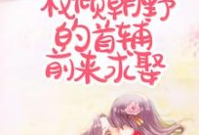 丧偶当天,权倾朝野的首辅前来求娶小说有没有完整的免费版本在线阅读?-经典文学