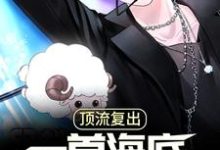 免费看顶流复出,一首海底唱哭全网小说的网站有哪些?-经典文学