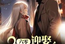 《六零:迎娶科研大佬后,他赢麻了》小说章节列表免费试读,夏黎陆定远小说在线阅读-经典文学