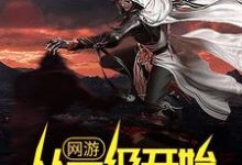 已完结小说《网游:从一级开始秒天秒地》最新章节-经典文学