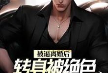 男女主人公 陈江林清影小说被逼离婚后,转身被绝色总裁带回家章节免费阅读-经典文学