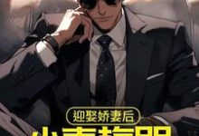 迎娶娇妻后，小青梅哭着来找我小说，迎娶娇妻后，小青梅哭着来找我章节在线阅读-经典文学
