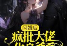 闪婚后,疯批大佬化身爹系老公宠不停小说有没有完整的免费版本在线阅读?-经典文学