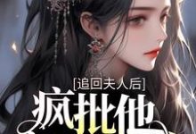 已完结小说《追回夫人后，疯批他宠妻上瘾》章节免费阅读-经典文学