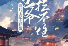 花暖月夜宸的小说在哪里看？免费在线阅读佣兵王妃太狂飙，王爷拦不住！-经典文学