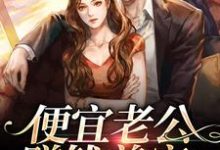 已完结小说《便宜老公赚钱养家,我貌美如花》章节在线阅读-经典文学