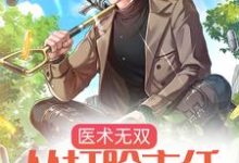 陆安为主角的小说叫什么?免费看医术无双:从打脸主任开始无敌-经典文学