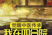 主角叫苏毅小说觉醒中医传承，我在四合院做神医章节免费阅读-经典文学