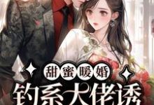 甜蜜暖婚:钓系大佬诱我嫁入他怀小说最新更新在哪里?免费在线看-经典文学