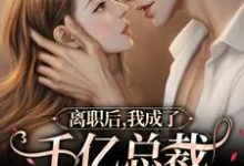 免费在线阅读离职后,我成了千亿总裁的小娇妻小说的正规网站有哪些?-经典文学