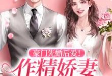 林絮秋温彦辞为主角的小说豪门先婚后爱！作精娇妻又软又嗲在线阅读-经典文学