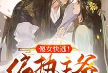 已完结小说《傻女快逃！偏执王爷太会撩》在线章节阅读-经典文学