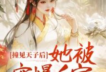 完结版《撞见天子后,她被宠爆后宫》章节目录在线阅读-经典文学